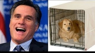 Mitt Romney dog on roof story just wont die [upl. by Ahtibat]