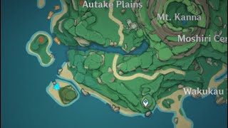 How to solve the Owl puzzle near Wakukau Shoal [upl. by Bogey]