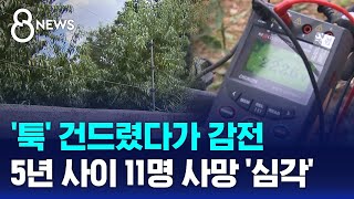 툭 건드렸다가 감전…5년 사이 11명 사망 심각  SBS 8뉴스 [upl. by Retnuh]