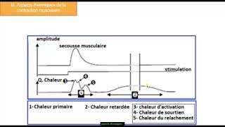 Les phénomènes accompagnant la contraction musculaire 2 bac pc BIOF شرح بالداريجة [upl. by Spanjian]