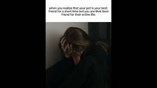 Such a sad realization sad pets fyp viral [upl. by Anthony730]