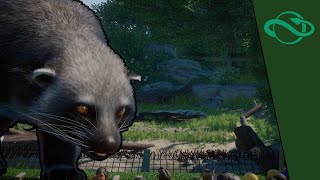 Planet Zoo  Binturong  Franchise Speedbuild No commentary [upl. by Refinaj]