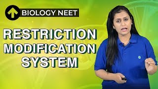 Restriction Modification System  Hindi  Biology NEET [upl. by Walburga]