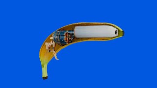 How a banana works [upl. by Yumuk]