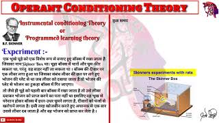 Operant Conditioning Theory by BF Skinner [upl. by Alva]