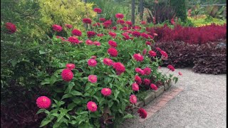 A Walk Through Beautiful Cantigny Park August 21 2017 [upl. by Ermentrude43]