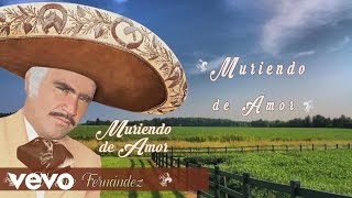 Vicente Fernández  Muriendo de Amor Cover Audio [upl. by Falconer138]