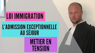 Loi immigration  le titre quotmétier en tensionquot [upl. by Aibos]