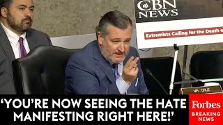 Ted Cruz Gets Interrupted During Hearing By AntiIsrael Protester—Then He Responds [upl. by Enywtna267]