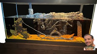 Painted Turtle Paludarium Enclosure Build Time Lapse [upl. by Leanna]