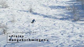 Prüfungskriterien «Freies Hangabschwingen» BergführerAspirantenkurs [upl. by Animrac]