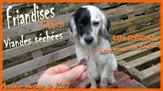 Friandises pour chien fait maison [upl. by Egroeg]