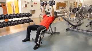 Incline Dumbbell Fly  Chest Exercise [upl. by Luigino]