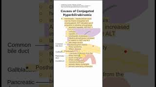 Causes of Conjugated Hyperbilirubinemia [upl. by Asilenna]