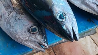 Live 04 Aug 24 ‼️🔥 Cutting fresh yellowfin tuna by skilled hands at Sorong market in Indonesia [upl. by Anselmo]