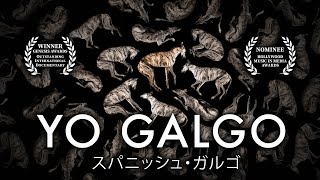 Yo Galgo  Full Documentary [upl. by Shipley632]