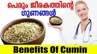 പെരും ജീരകത്തിന്റെ ഗുണങ്ങൾ  Benefits Of Cumin  Perum Jeerakam  Malayalam Tasty World [upl. by Htebharas]