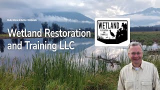 Why Wetlands Hold Water And How They Are Drained Episode 8 Tom Biebighauser [upl. by Asiek412]