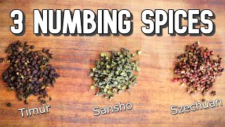 What is TIMUR PEPPER  How to Use this Nepalese Spice Related to Szechuan Pepper  Spice Finds [upl. by Sevein]