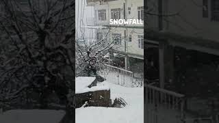 Shimla Snowfall short snowfall shimla [upl. by Adran31]