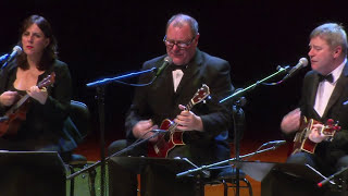 The Ukulele Orchestra of Great Britain play Born This Way Live At Sydney Opera House [upl. by Swope]