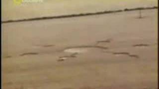 Olivers Castle Crop Circle Hoax Is It Real [upl. by Swigart189]