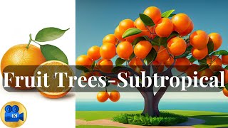 Top 10 Fruit Trees for Subtropical Climate Gardens [upl. by Anelys]