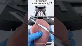 Pork Under The Microscopethistechnology facts microscope technology shoets mrbeast funny [upl. by Ise]