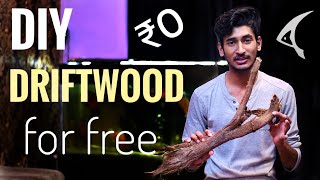 How to make Driftwood For Aquarium FREE  DIY Driftwood at home for Free [upl. by Downing]