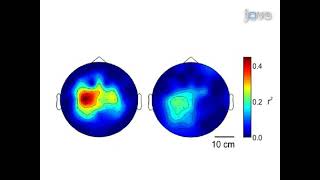 Virtual Cursor Movement Using an EEGBased BrainComputer Interface [upl. by Philly]