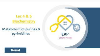 Lec 4 amp 5  Biochemistry  Metabolism of purines amp pyrimidines  Renal [upl. by Psyche]