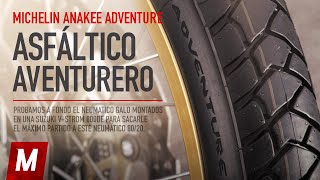 Michelin ANAKEE ADVENTURE 2023  Prueba y opinión de los neumáticos con la Suzuki VStrom 800DE [upl. by Diaz]