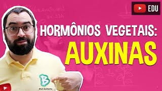 Auxinas Hormônios Vegetais  Fisiologia Vegetal  Aula 27 Botânica Prof Guilherme [upl. by Nahgam]