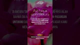 AlQuran Surah ArRum Ayat 21  Pernikahan Untuk Membentuk Keluarga Sakinah Mawaddah Warahmah [upl. by Leviralc]