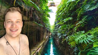 El mejor CENOTE [upl. by Leffen]