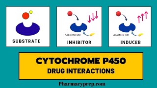 Cytochrome P450 Drug Interactions [upl. by Nivag698]