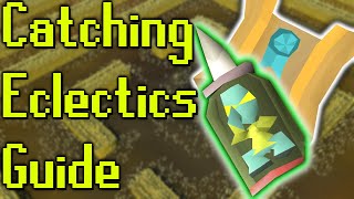 Ironman guide to eclectic implings [upl. by Adnyleb808]