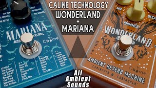 CALINE Wonderland  Mariana  Ambient Guitar PostRock Sounds  ON A BUDGET [upl. by Borreri]