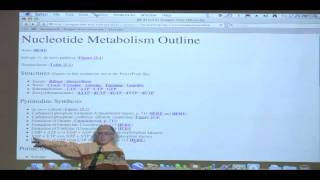 Kevin Aherns BiteSized Biochemistry 39  Nucleotide Metabolism I [upl. by Maon]