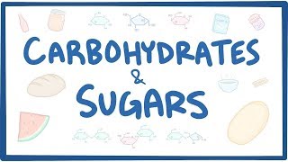 Carbohydrates amp sugars  biochemistry [upl. by Grannias]