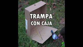 TRAMPA PARA AVES CON CARTÓN  YMX SUPERVIVENCIA [upl. by Ardine338]