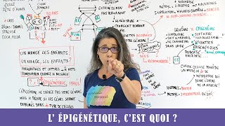 LEPIGENETIQUE CEST QUOI [upl. by Dorrej]