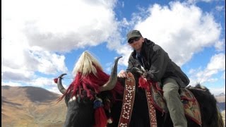 7 Jahre in Tibet [upl. by Rawlinson]