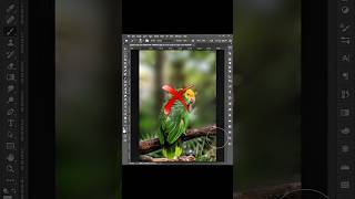 Background Blurr  Short Photoshop Tutorial shorts photoshop tutorial [upl. by Templia]