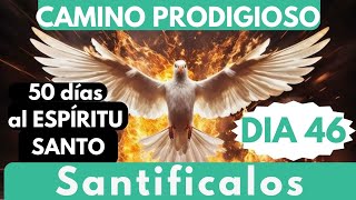 día 46 🔥🙏 CAMINO PRODIGIOSO 50 DÍAS AL ESPÍRITU Santifícalos en la verdad 🙏🔥 [upl. by Ogilvie]