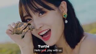 Momo Twice ft moaning turtle [upl. by Nodyl]