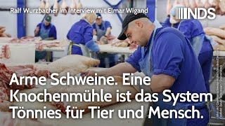 Arme Schweine Eine Knochenmühle ist das System Tönnies für Tier  Mensch Interview m Elmar Wigand [upl. by Adlog]