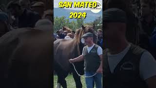 💪🐎🏔️FERIA DE SAN MATEO 2024🏔️🐎 horse horsebreed caballos horselovers [upl. by Euf731]