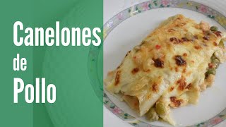 CANELONES DE POLLO receta con Verduras  Receta fácil [upl. by Neeleuqcaj99]