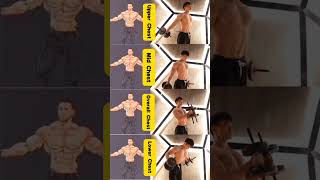 fitness workout  full body workut one day [upl. by Bez]